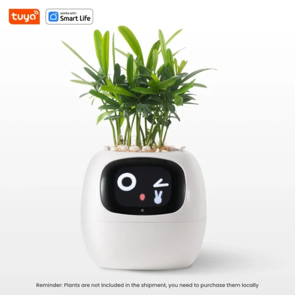 Smart Planter - Ivy - Image 11