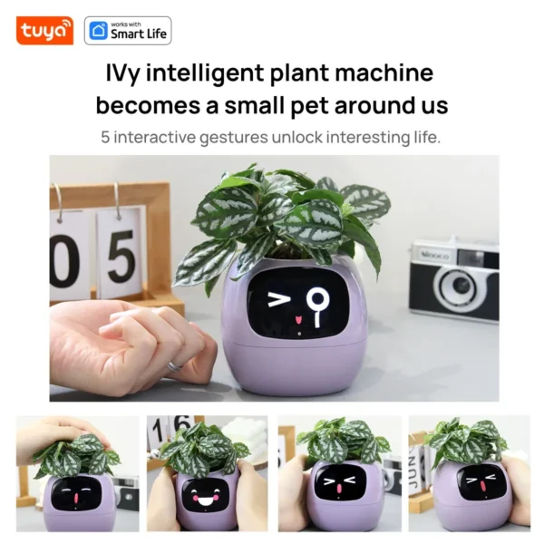 Smart Planter - Ivy - Image 16